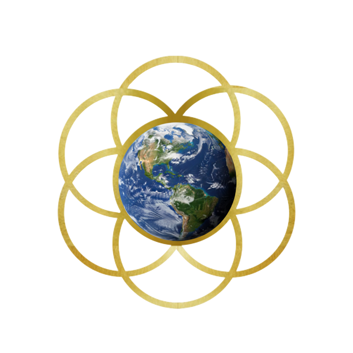 Ayni Pay Logo